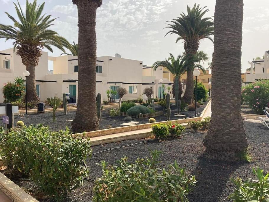 Corralejo Suite Pool & Gardens - Alisios Playa Esterno foto
